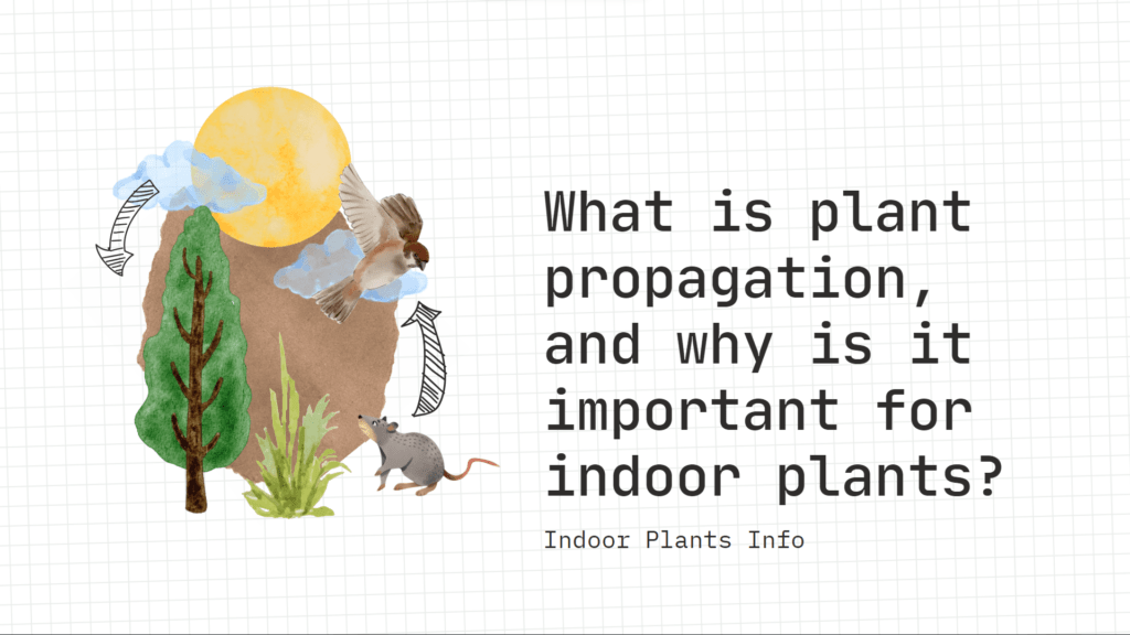 Inducing plants means to make new plants by both sexual (seeds) and agamic (vegetative) implies. Disregarding the way that social affair seeds for certain plants is basic, this isn't by and large the most valuable or quickest technique for spreading plants. Once in a while, plants caused from seeds will have all the earmarks of being special to the parent plant In the verdant universe of indoor developing, there's a charm that happens when little seeds sprout, cuttings thrive, and new plants spread out their leaves in the agreeable corners of our homes. A cycle goes past basic turn of events; it's a comfortable dance between human hands and the powers of nature. At the center of this natural expressive dance lies the workmanship and investigation of plant spread ᅳ a preparation that holds the best approach to opening the most extreme limit of indoor vegetation.