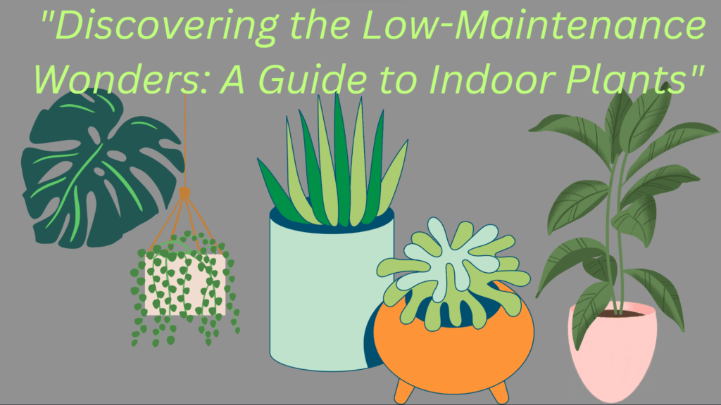 In the hustle and bustle of present-day life, creating a serene oasis inside our homes is crucial. Indoor plants not only add a touch of nature to our indoor spaces but also contribute to our well-being. However, not everyone has the time or ability to care for high-maintenance plants. Fear not! In this comprehensive guide, we will explore the charming world of low-maintenance indoor plants, supported by research and infused with practical insights. By the end of this journey, you'll be equipped with the knowledge to transform your space into a lush sanctuary with ease.