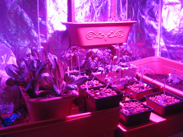 Maximizing Plant Growth Indoors: The Top Artificial Grow Lights for Your Greenery