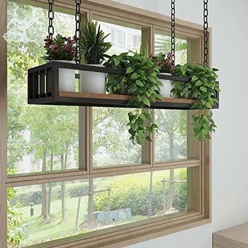 Hanging Plant Screens