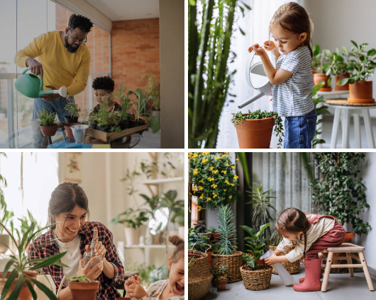 Child-Friendly Greens: Top Indoor Plants Safe for Your Little Ones